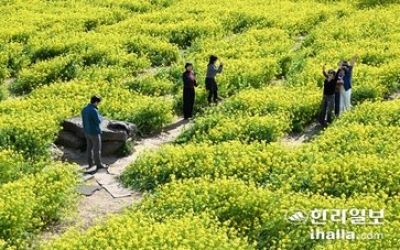 지난해 제주 내외국인 관광객 씀씀이 줄였다