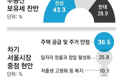 ‘보유세 인상’ 서울시민 찬성 43.3%-반대 28.9%