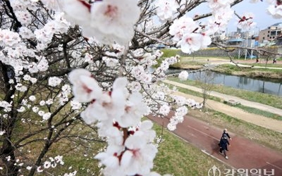 [날씨]강원 2일 오전까지 짙은 안개…일교차 여전